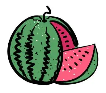 卡通形象的西瓜图标.夏天的符号照片