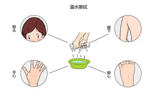 大人着凉发烧怎么退烧-有来医生