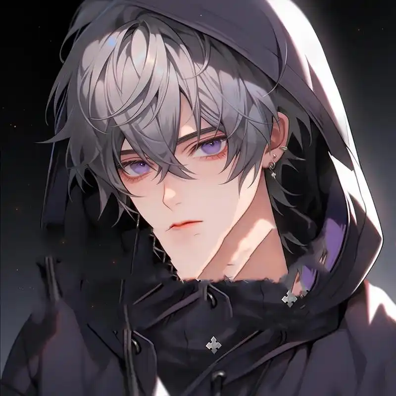 男生头像|紫发连帽外套帅气高冷校草