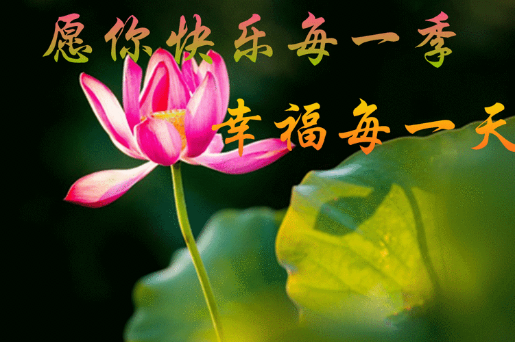 675月11日最漂亮早上好动态表情图片及动图美图大全,摄人魂魄的动态