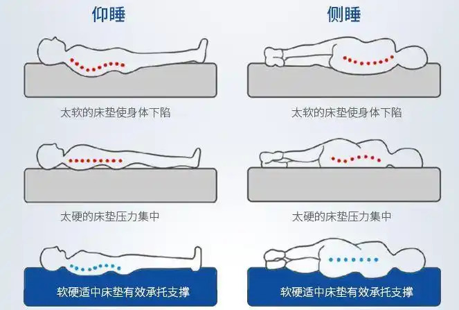买了乳胶床垫家里老人觉得太软说对脊椎不好应该买硬的越硬越好这个