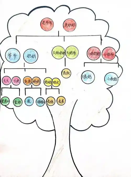 家谱记亲情 家训传德行——光明学子绘制家族图谱实践活动_文化_传承