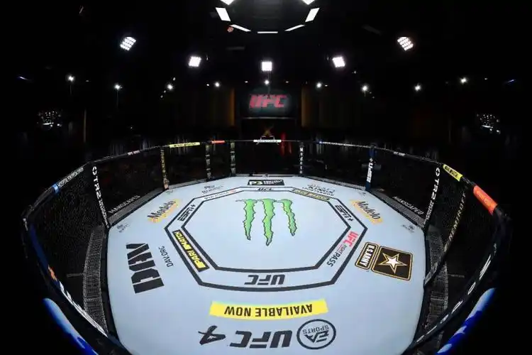 作为综合格斗最高殿堂的ufc,以及奋战在八角笼中的斗士们,却在这个史