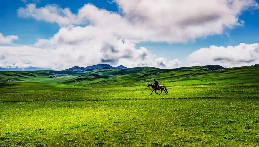 巴音布鲁克草原自然风景图