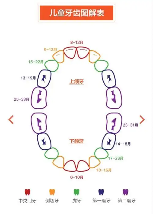 儿童牙齿问题图解大全,必看