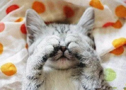 赣云看点丨所有江西人今晚请务必早睡1小时