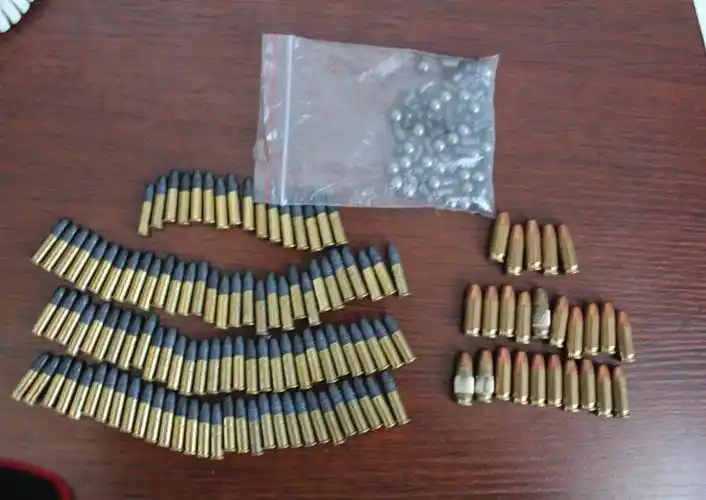 向海加大猎枪收缴力度确保候鸟回迁安全