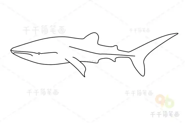 鲸鲨简笔画亲子动手一起画