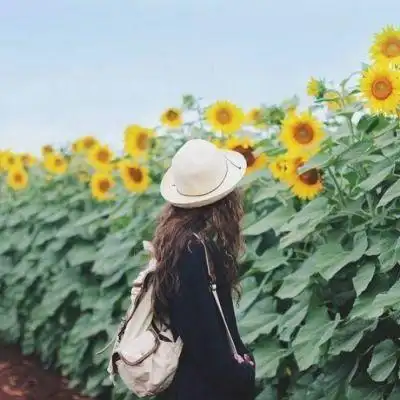 女生头像唯美小清爽背影向日葵