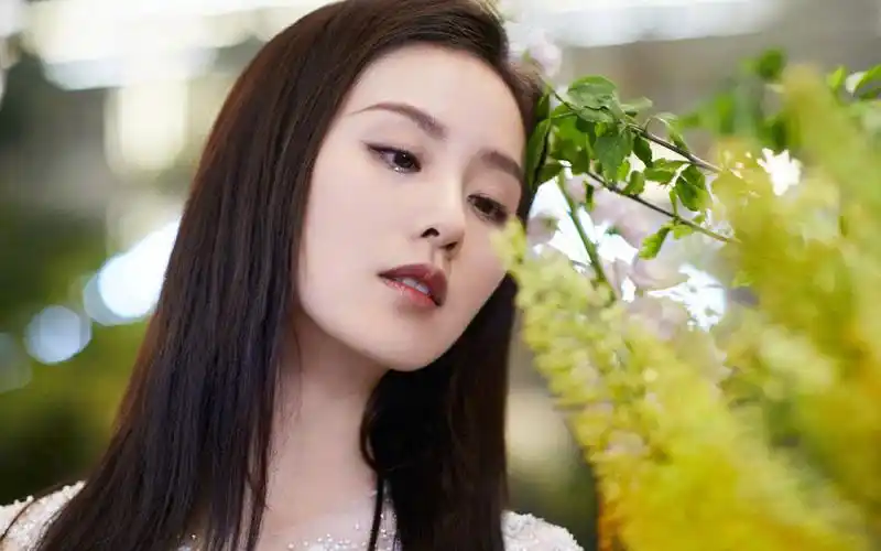 刘诗诗性感灵动写真桌面壁纸