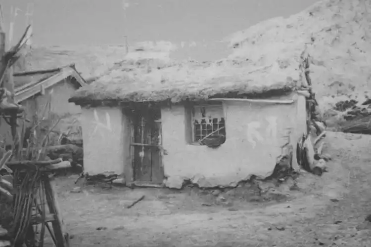 看到塞罕坝的老照片我落泪了