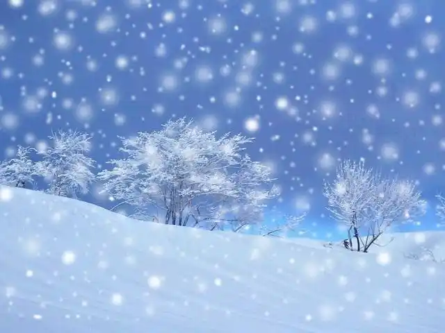 雪花飘飘北风萧萧xuehuapiaopiao是什么梗出自哪雪花飘飘北风萧萧爆红