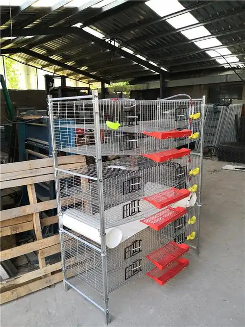 作者:鹌鹑养殖设备厂家 时间:2020-11-28 10:11:41 来源:原创