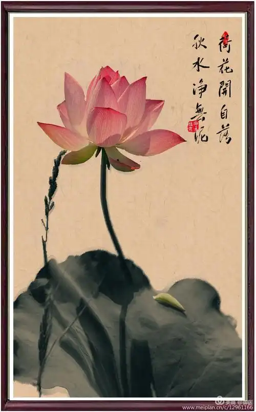 墨韵染荷(水墨荷花习作)