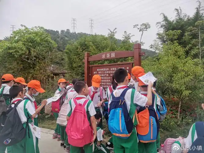 国医小镇丨握山小学中医药文化研学活动