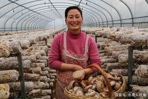 脱贫致富带头人村妇女主任裴媛媛