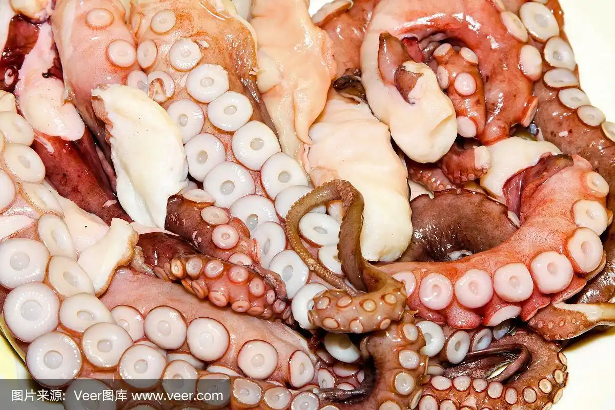 清新,章鱼,吸盘,红色,泥泞的