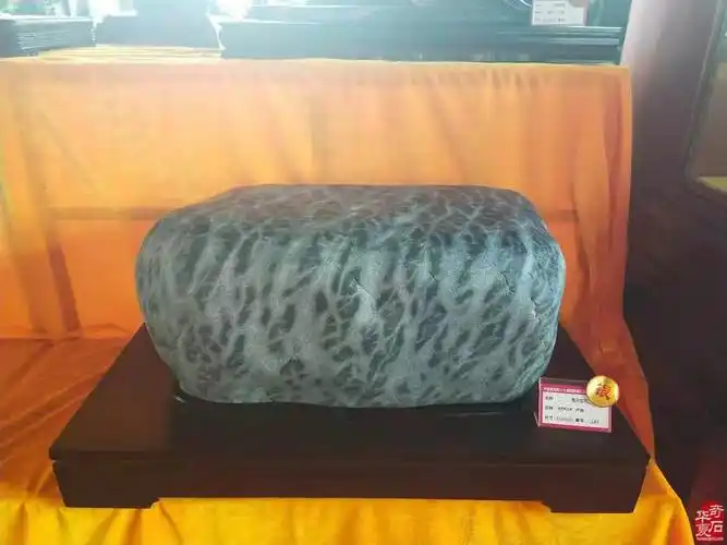 洛阳石展上来了一群执着追求的赏石人 图 - 华夏奇石网 - 洛阳市赏石