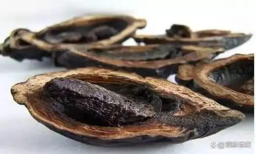 槟榔危害有多大我们是如何掉入槟榔的陷阱