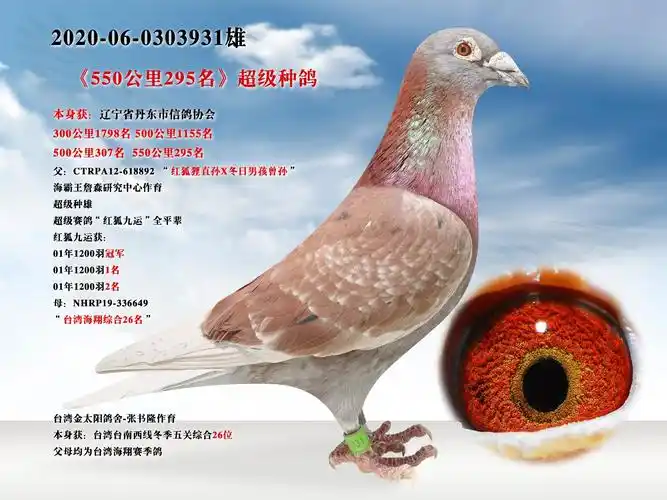 母:台湾海翔综合26名相关视频商品信息商品编号:1465234足环号:2020