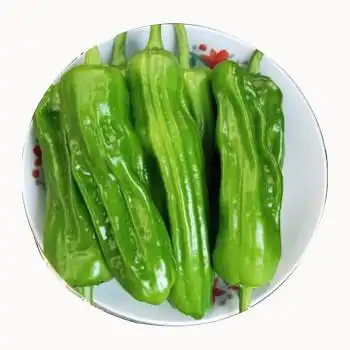 宓蝶轻恋湖北现摘青辣椒当季绿尖椒土辣椒新鲜虎皮青椒泡椒新鲜蔬菜1