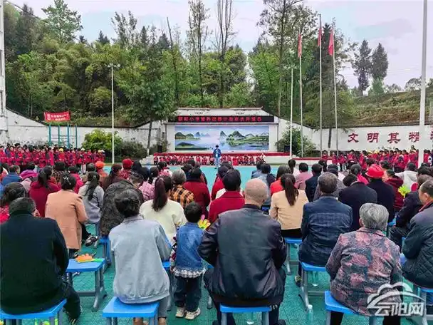 新阳小学开展家长开放日活动