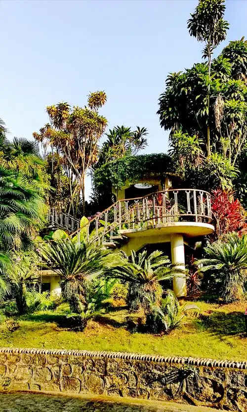 我们的云南自由行(二十三)版纳篇 西双版纳热带花卉园