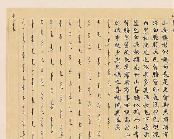 满族原有自己的语言,文字.