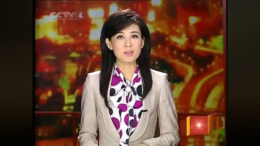 如何评价cctv4海峡两岸主持人李红的主持水平