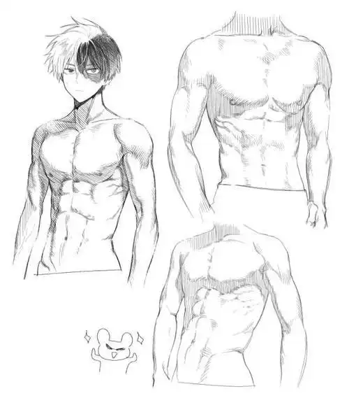 腹肌的简笔画教程视频教程