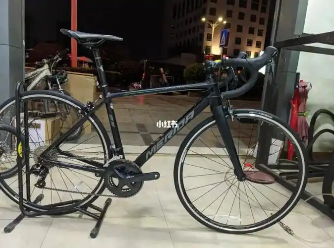 美利达斯特拉95