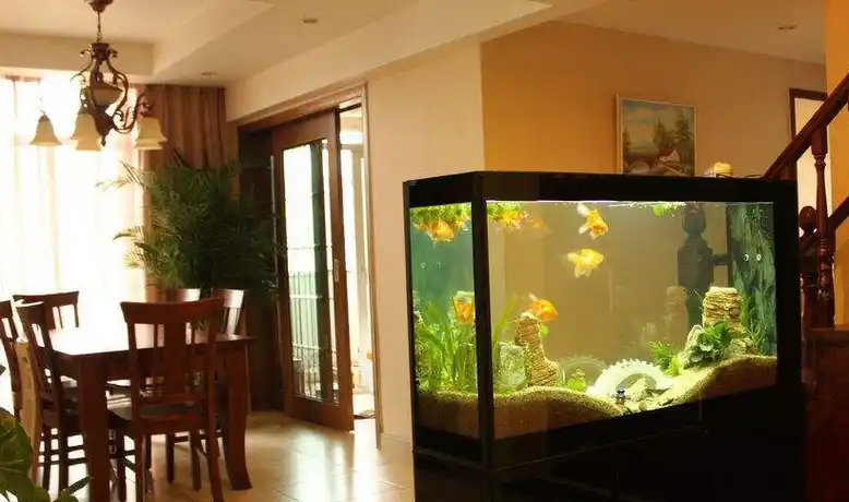 鱼缸放在家里哪个位置比较好?这3个方面要注意_风水_影响_因为