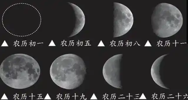 月相变化歌:初一新月不可见,只缘身陷日地中,初七初八上弦月,半轮圆月