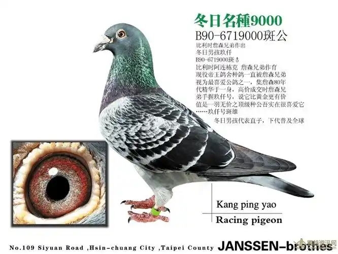 相册詹森兄弟冬日男孩919