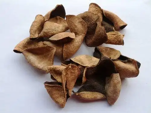 青皮的功效与作用疏肝破气消积化滞