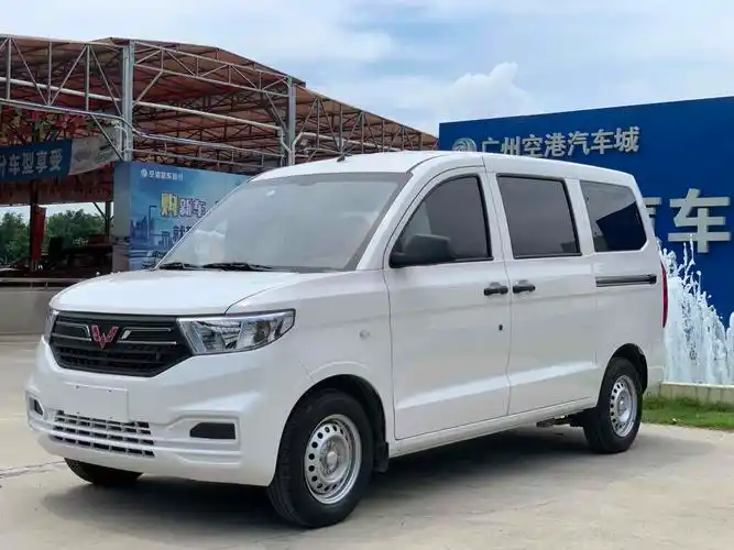 【湛江】2020年9月 五菱 五菱宏光v 2021款 1.