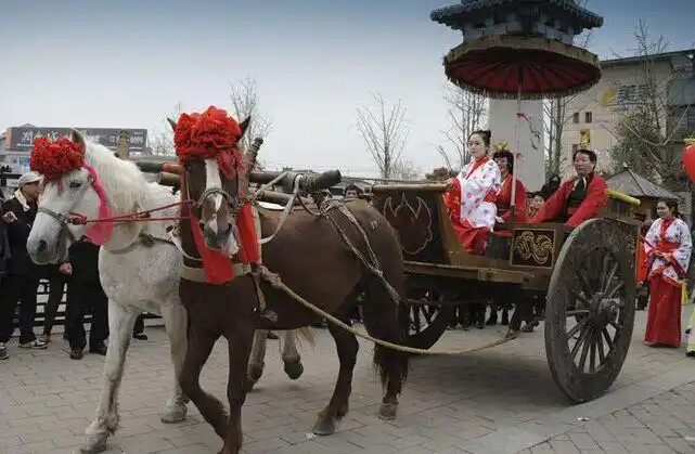 旅游观光马车_供应许昌实惠的汉仿古木制马车