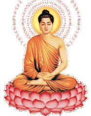 几十名居士在中华红枫园景区礼佛朝圣庆祝佛祖释迦牟尼诞辰