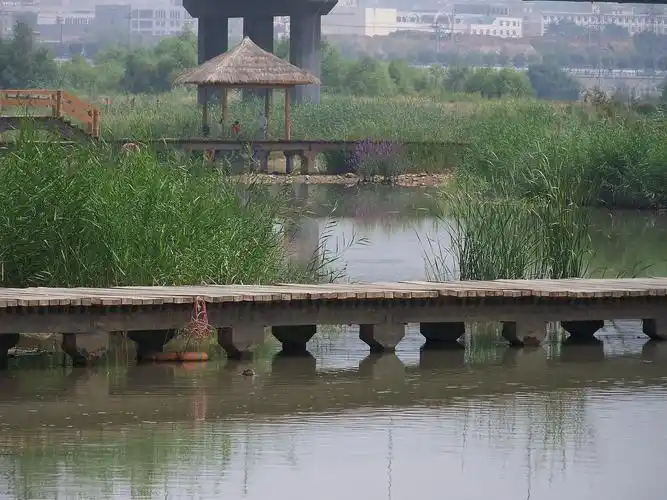 黄河湿地公园