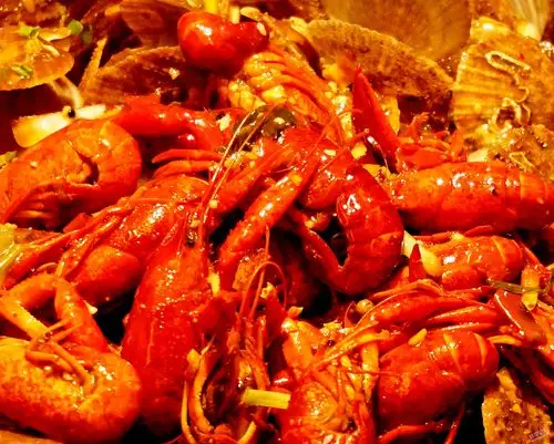 龙虾江湖中的小龙女 - 原创摄影 - 蚌埠论坛 - 蚌埠人上蚌埠论坛bbs