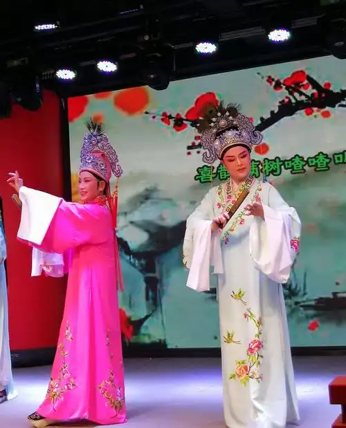 《梁祝:十八相送》表演单位:群星越剧团摄影:黄顺梅