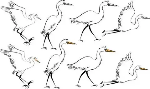 可爱的白鹭图片-可爱的白鹭素材-可爱的白鹭插画-摄图新视界