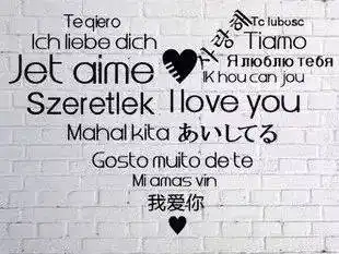 英语,法语,阿拉伯语,日语,韩语,葡萄牙语,俄语,泰语,意大利语,德语