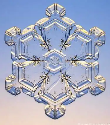 雪花其实不简单微观世界下的雪花晶体