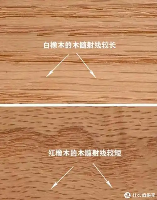 橡木vs橡胶木一字之差差距巨大,跟着买不被坑哦!