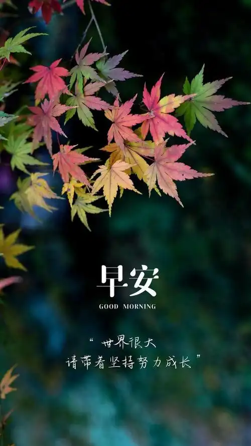 早安语录 不管生活怎样,总有一道属于你的阳光,走出自己的风景