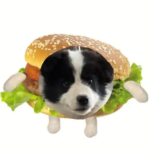 美味表情包大放送