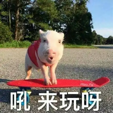 喂出来玩呀表情包 - 喂出来玩呀微信表情包 - 喂出来玩呀qq表情包