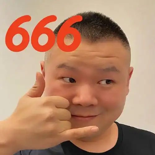 岳云鹏666头像图片