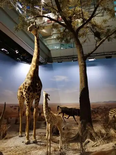 2021年2月21日上海科技馆半日游